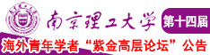 插女人的大肥逼网站视频南京理工大学第十四届海外青年学者紫金论坛诚邀海内外英才！